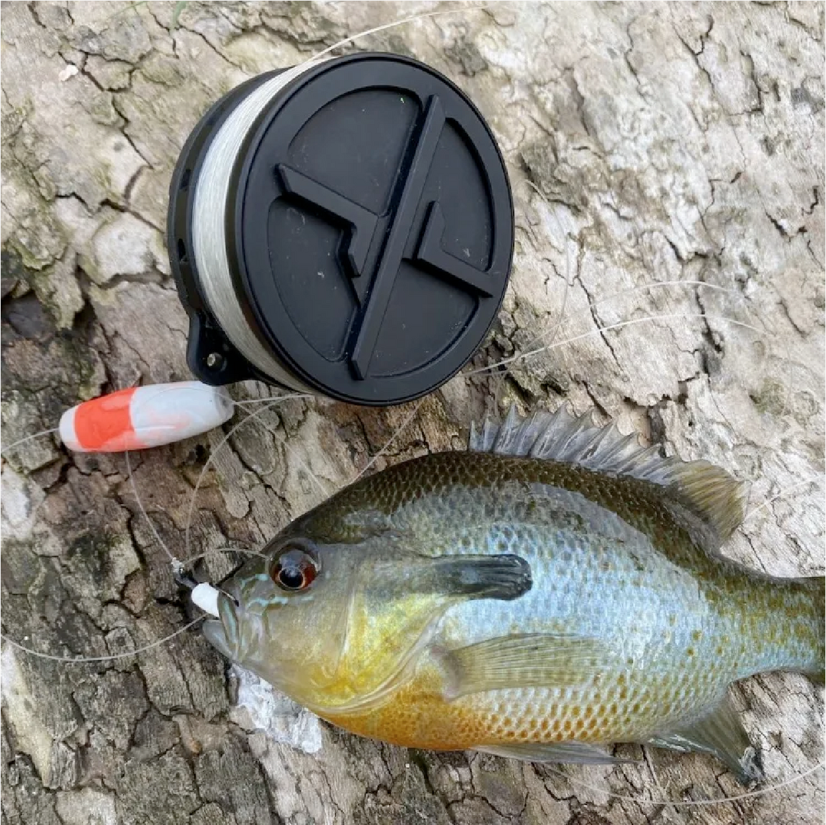 Intro to Handline Fishing | Georgia Bushcraft