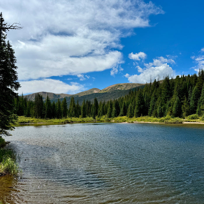 The Most Overlooked Bushcraft Skill is Observation