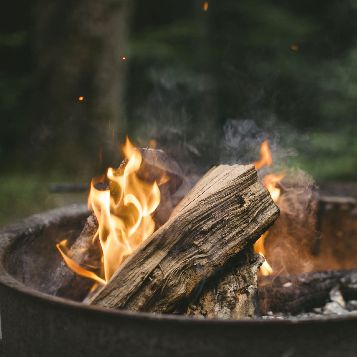 Wood and Fire