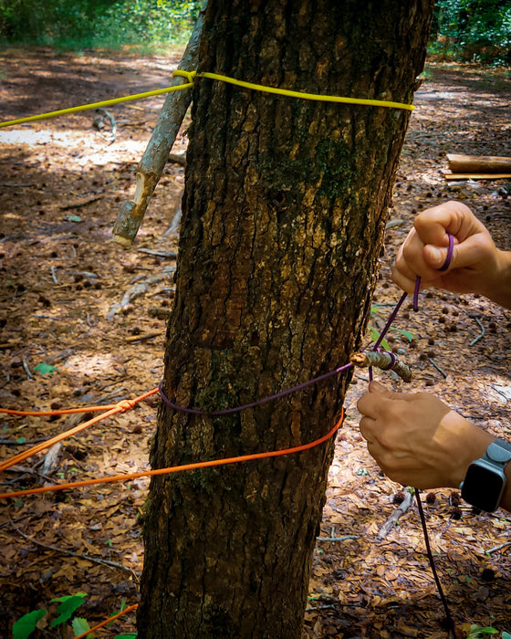 Woodland Survival 101