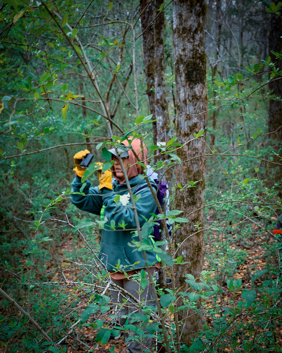Woodland Survival 101