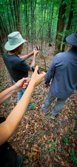 Woodland Survival 101