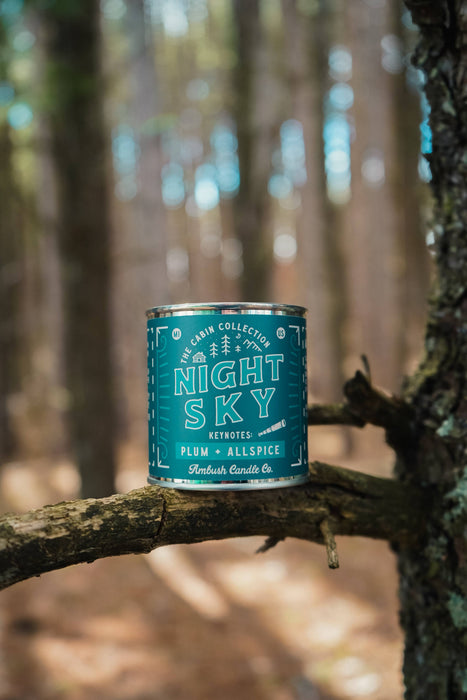 Night Sky | Plum + Allspice Soy Candle