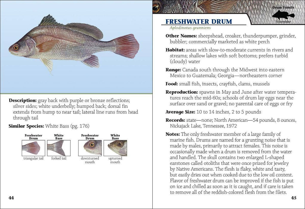 Freshwater Fish of Georgia Field Guide