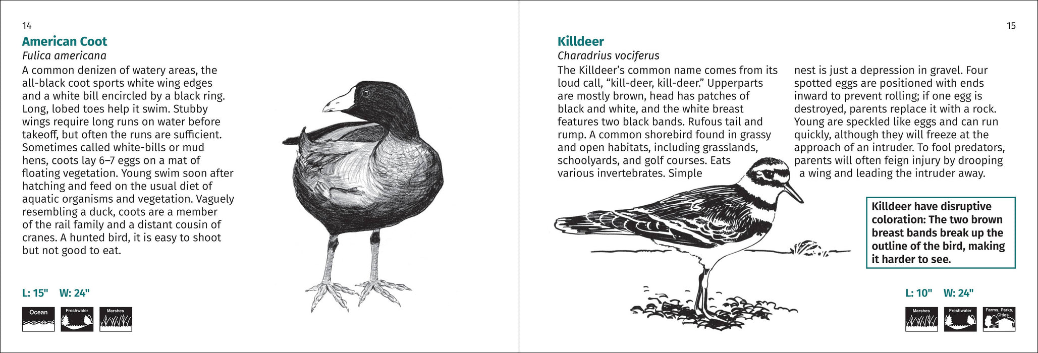 Bird Finder 2e