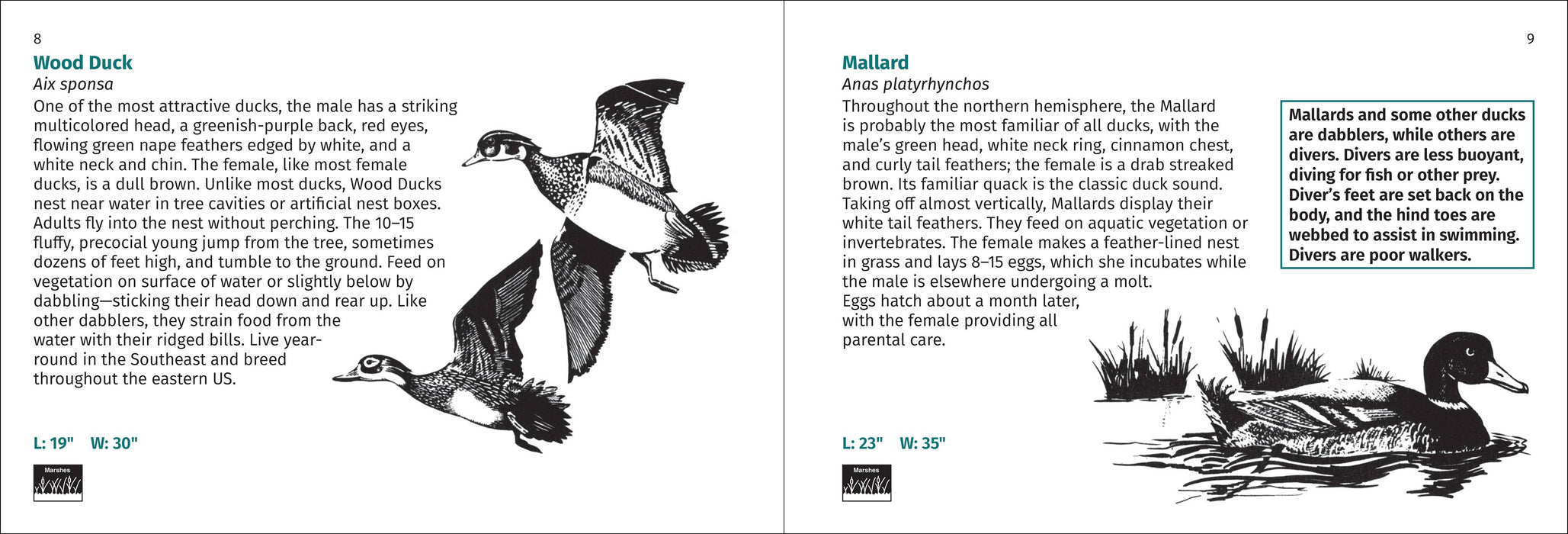 Bird Finder 2e