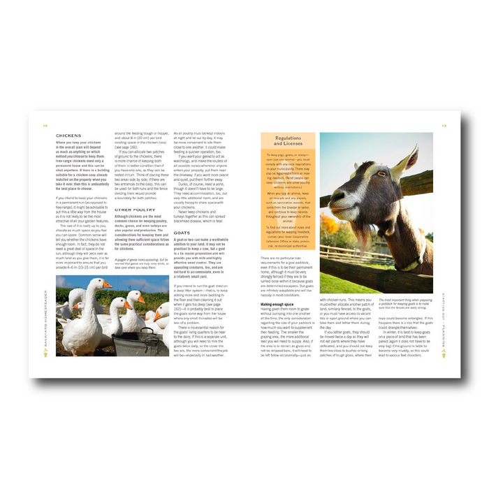 Backyard Homesteader: How To Save Water, Keep Bees, Eat from