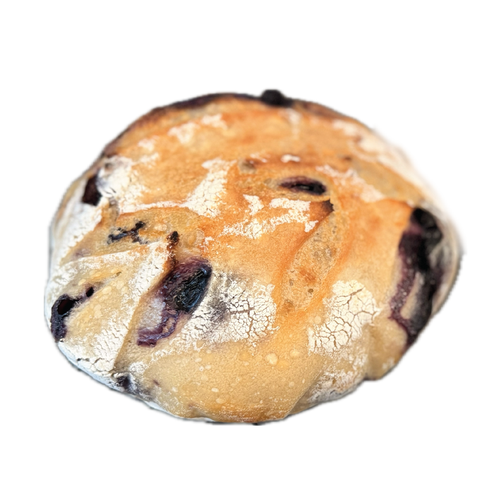 Specialty Large - Blueberry & Lemon