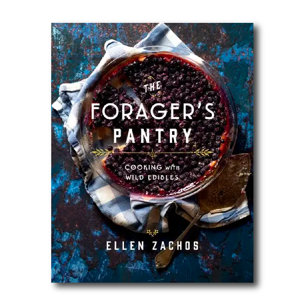 Kitchen Forager The Forager's Pantry: Cooking with Wild Edibles — Georgia Bushcraft