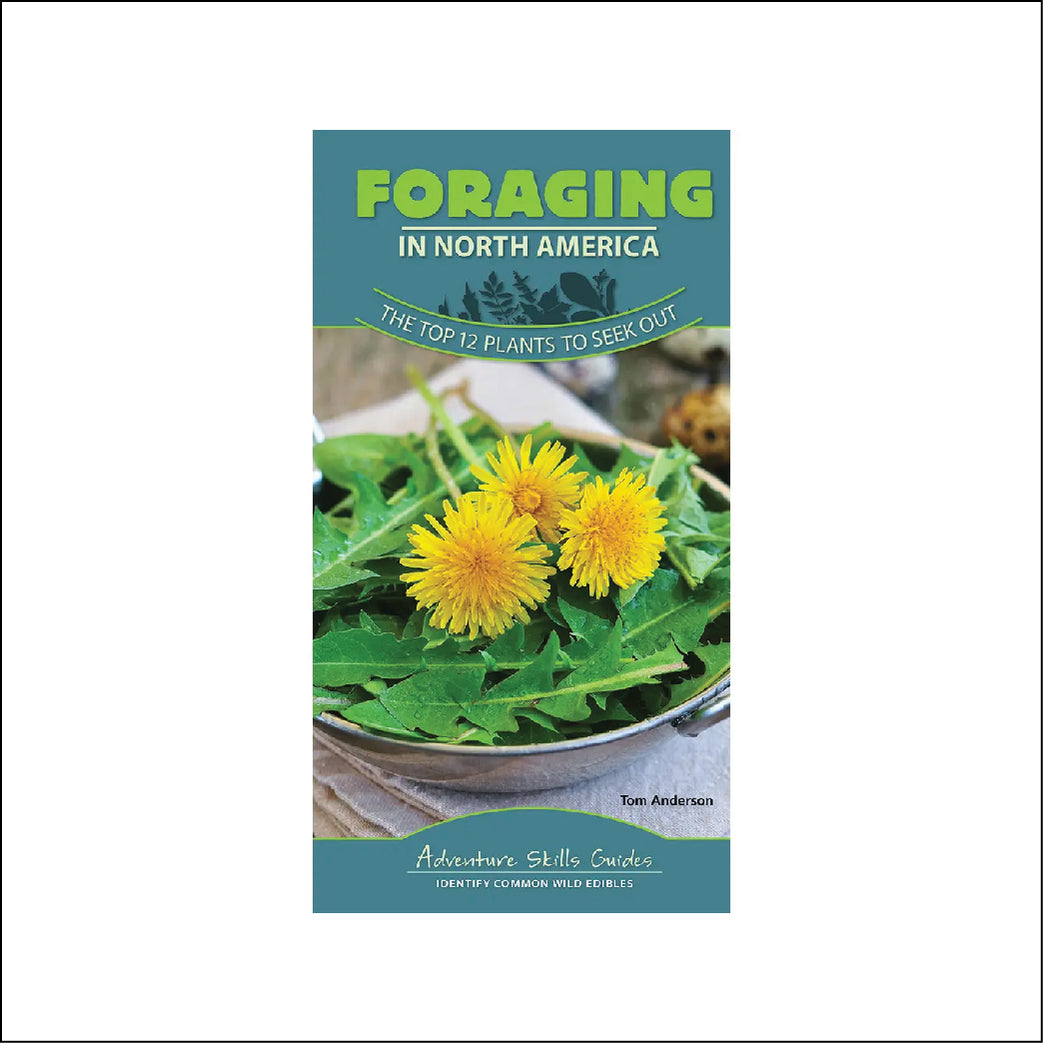 Foraging in North America Quick Guide — Georgia Bushcraft