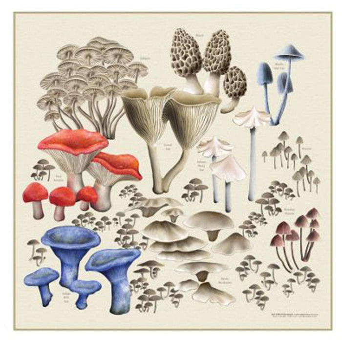 Mushroom Bandana