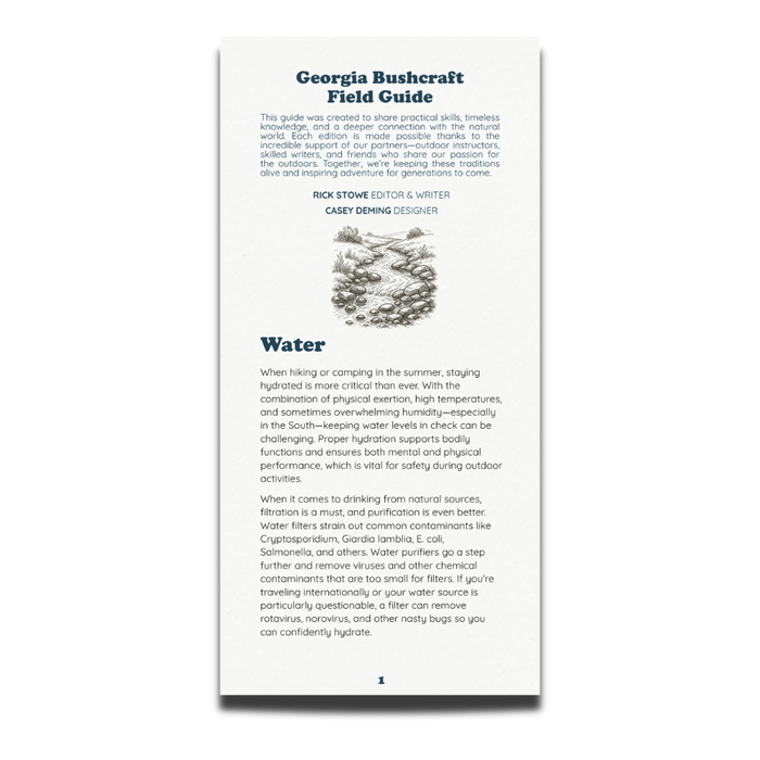 Field Guide: Water – How to Find Clean Drinking Water in the Wilderness