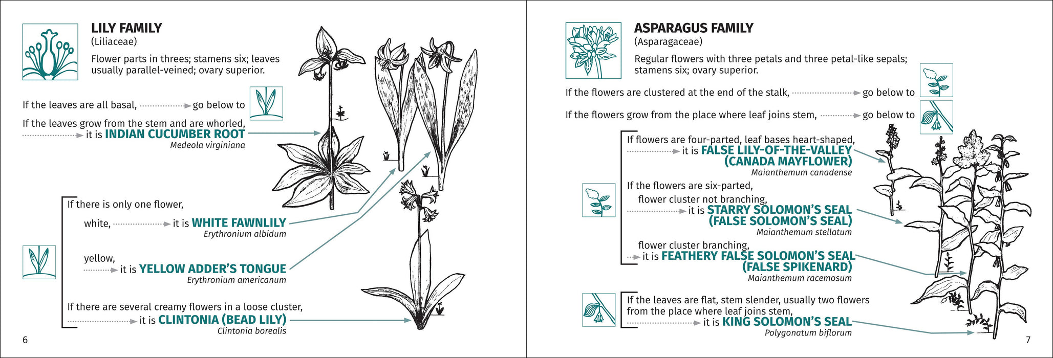 Flower Finder 2nd Edition