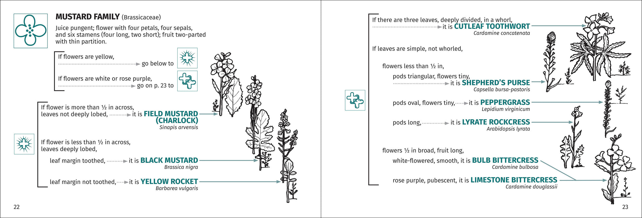 Flower Finder 2nd Edition